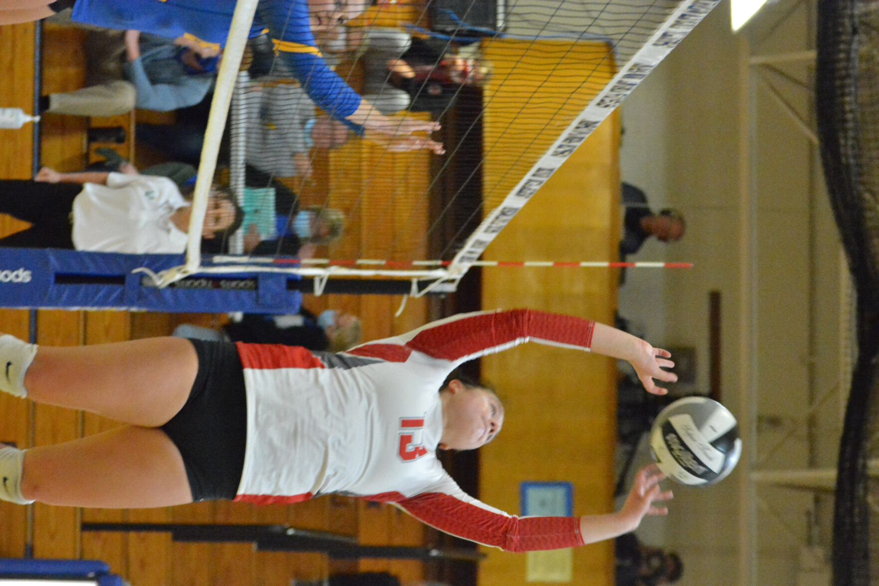 DSC_0328.jpg